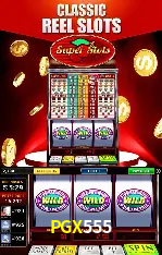 Flash Promotion PGX555